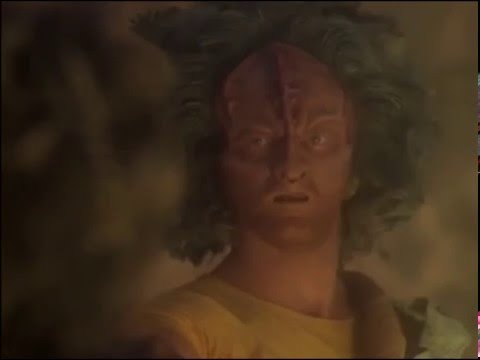 Star Trek: Voyager Fans