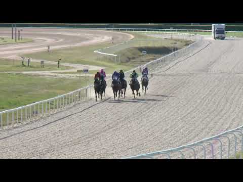 2022.04.17. 08. futam - IGAZGATÓSÁGI DÍJ (Elit kat.) (szintetikus pálya)