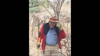 Gaylen Pedersen Funeral Services