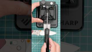 Work Sharp Precision Adjust Elite Knife Sharpener & Benchmade Bugout 535-09