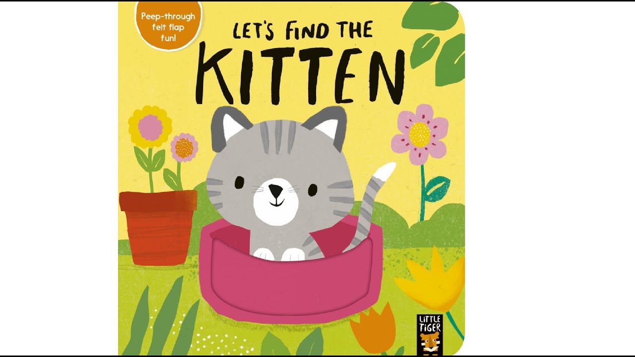 Let’s Find The Kitten - Little Tiger