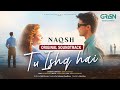Tu Ishq Hai Naqsh Full OST Singer Sahir Ali Bagga Green TV Entertainment