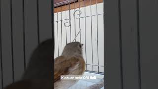 Download lagu tledekan bambu bunyi dalam keramba mp3 Download lagu tledekan bambu bunyi dalam keramba mp3