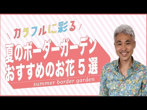 白い外側のカーテンがバルコニーの家具を保護します 天然籐