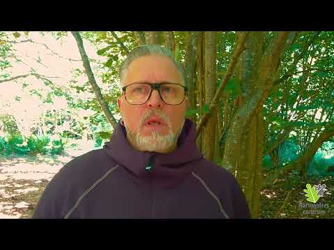 Sommartips Humpa Discgolf öppnar sommaren 2022