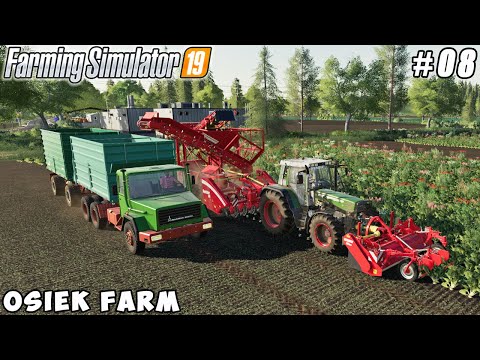 Selling potatoes, building a sugar business | Osiek Farm | Farming simulator 19 | Timelapse #08