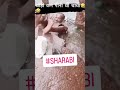 Sharabi Ki Holi Funny Sharabi Holi