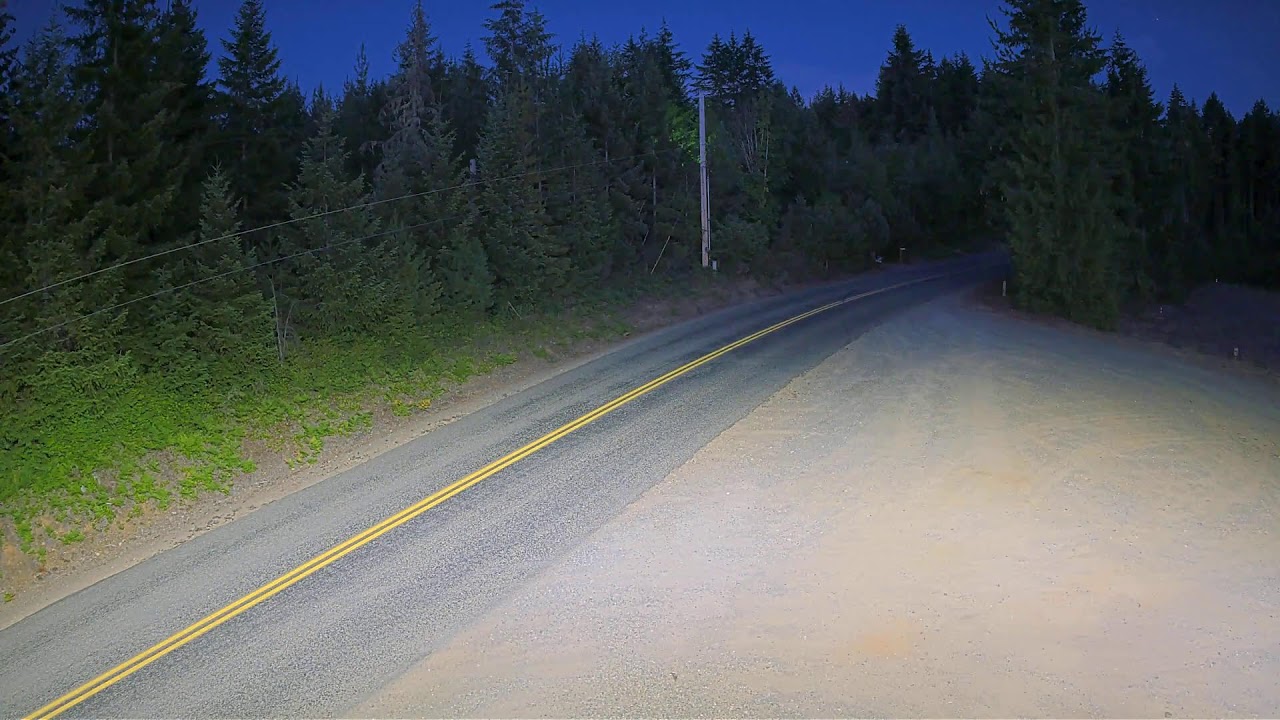 Live webcam view of Dewatto Holly Road Forest Cam