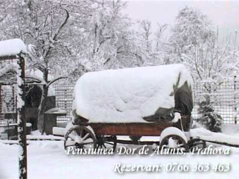 Pensiunea Dor de Alunis, Prahova