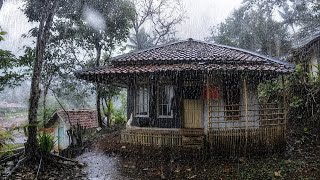 Download lagu Syahdunya Hujan di Kampung Ini‼️ Suasananya Adem, Tenang & Bikin Betah Tinggal Disini | Singajaya mp3
