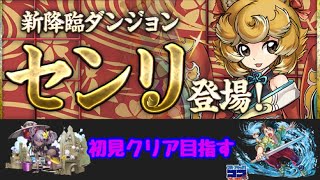 センリ降臨【壊滅級】初見水着ヴェロア・ココで挑む【パズドラ】