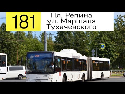 автобус до новоселья. автобус 181. автобус до новоселья. лента новоселье. автобус до новоселья.