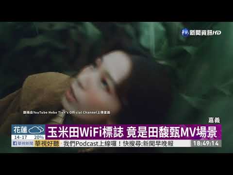 嘉義玉米田神秘「WiFi符號」網友忙朝聖