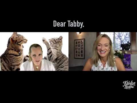 Dear Tabby - Creating Harmony in Your Multi-Cat Home