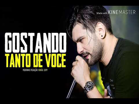 TÔ GOSTANDO TANTO DE VOCÊ - PEDRINHO PEGAÇÃO (MÚSICA NOVA / SUCESSO MC DON JUAN