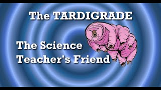 NEW COURSE - How To Find Tardigrades