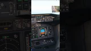 Warum dieser Check vor der Landung entscheidend ist #flugzeug #simulation