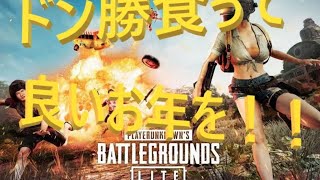 【PUBGLITE】大晦日の真昼間からドン勝を食いに戦場へ！