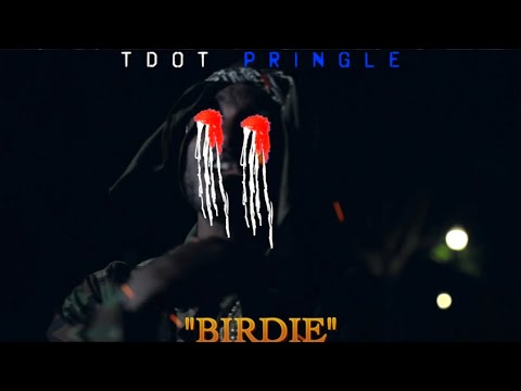 Tdot Pringle - Birdie Official Music Video @thereelproductionsFCE