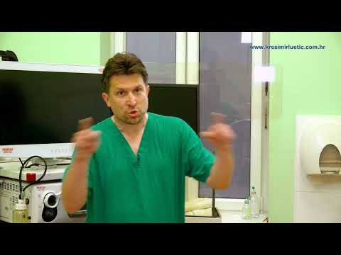 Šest odgovora doktora Raguža