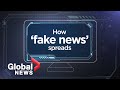 'Fake News' explained: How disinformation spreads