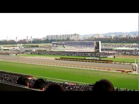 31st JAPANCUP 2011.11.27