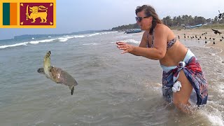 Turtles Can Fly | Fishing Trincomalee Sri Lanka