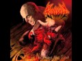 Bloodbath "Stillborn Saviour" Album: Nightmares Made Flesh