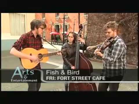 Fish & Bird on Shaw TV in Victoria