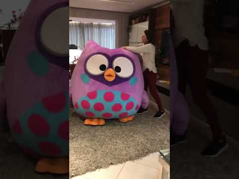 Quando as roupas já não servem mais 😂 | #shortsdascorujinhas