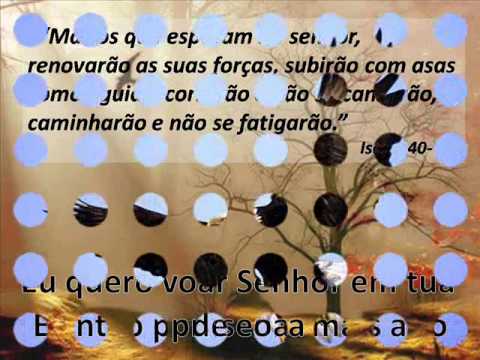 Ana Cheffer - Bem mais além ♕