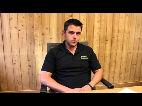 How long does the mold remediation process take?