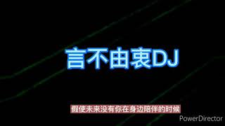 言不由衷 (DJ版)