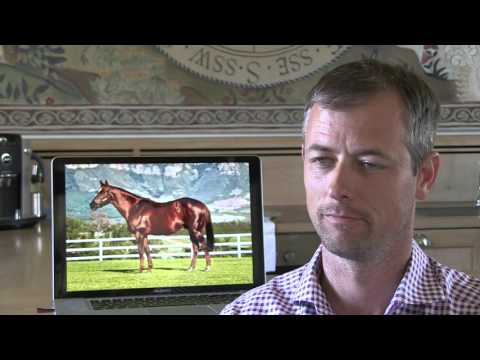 SMART CALL WINS THE MET. A PLAN EVENTUALLY MATERIALISES.