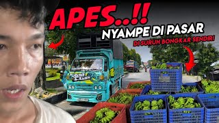 🔴MAMP*S UNLOADING BANANAS DURING TAKBIR NIGHT - Nurunin sendiri