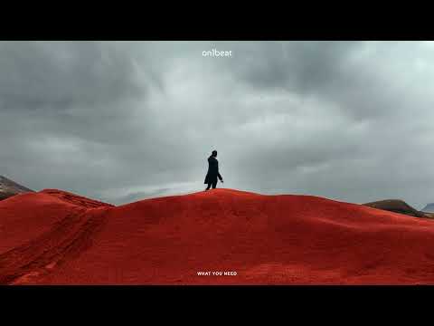 On1Beat - What You Need