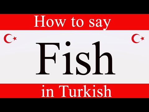 Learn Turkish | How to say "Fish" in Turkish | Learn Turkish Language