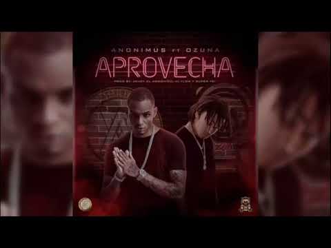 Ozuna Ft Anonimus - Aprovecha
