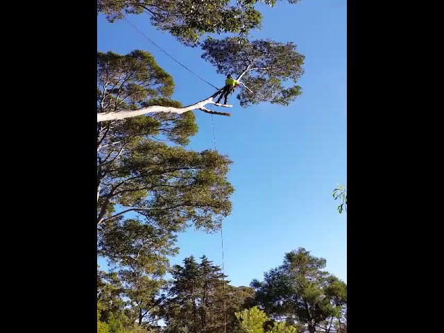 Horizon Total Tree Service - Tomakin, NSW