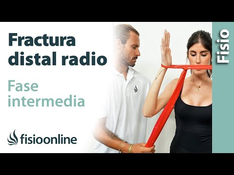 FRACTURA distal del RADIO, ejercicios fase INTERMEDIA
