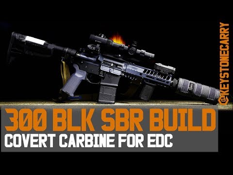 300 Blackout Build: My Covert Carbine