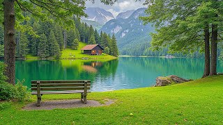 Healing Music 🌿 Relaxing Music to Reduce Anxiety and Deep Sleep