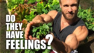 What's In My Garden? | Vegan Athlete & Nutritionist Gives Tour