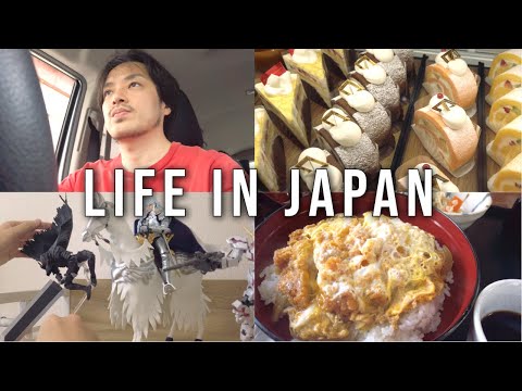 [Vlog] Daily life in Japan | Going to eat a deep-fried pork cutlet on rice and cold soba noodles