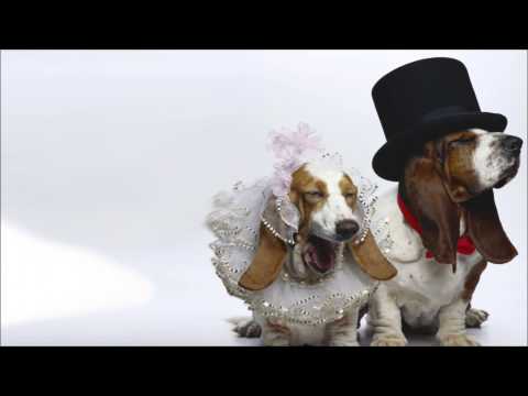 The Drill VS Zono Moja (Cenasi Mashup)