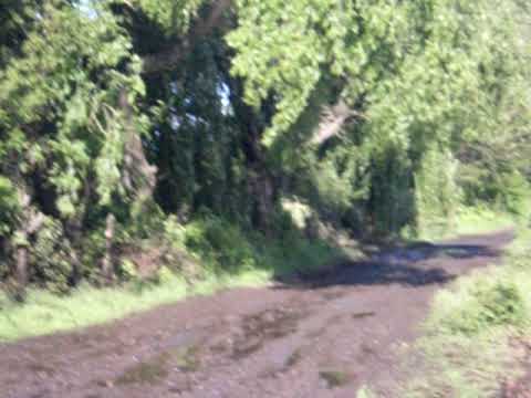 renault 4 delgado edition