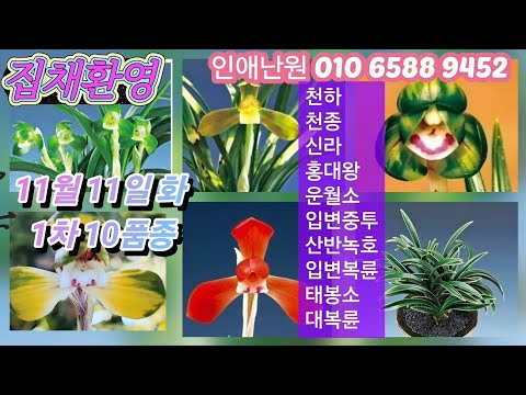유튜브 썸네일