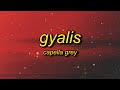 Capella Grey GYALIS TikTok Remix Lyrics Like What Is The Reason It S Just A Vibe I M That Guy
