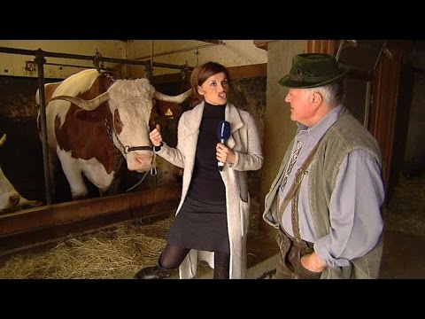 Attenkirchen - At Ochsen Toni in Pfettrach - Village of the Week