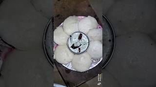 Download lagu soft idli recipe #idly recipe #etili#recipe #How to make idli recipe at home # perfect idli recipe 👍 mp3 Download lagu soft idli recipe #idly recipe #etili#recipe #How to make idli recipe at home # perfect idli recipe 👍 mp3